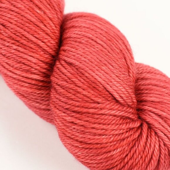 Lolobean Yarn Co Pinto Bean DK Weight Superwash Merino Bird Beak Flower Colorway - Picture 2 of 3